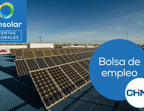 Business Developer in Madrid